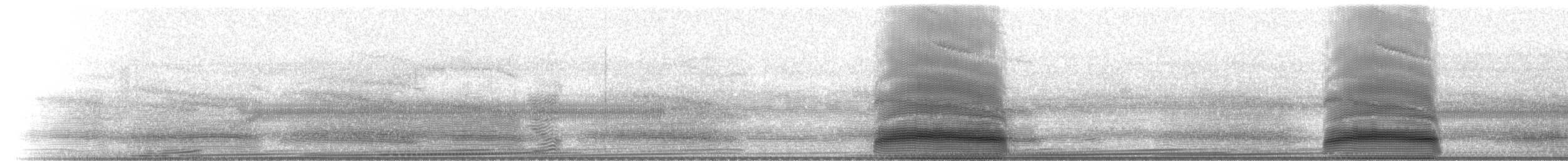 Couch's Spadefoot - ML223231