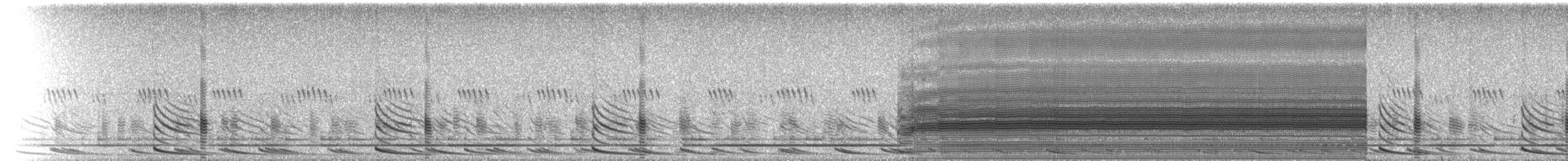 Sheep Frog - ML223232