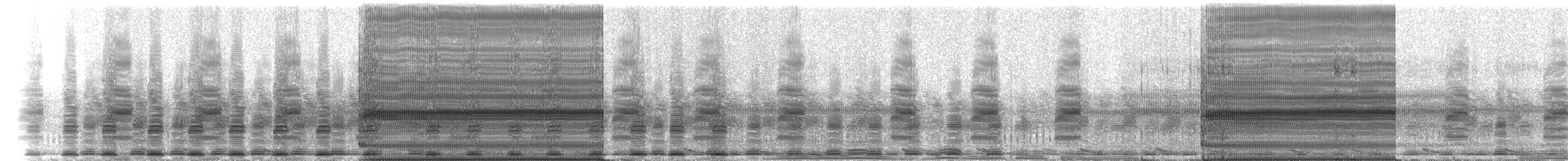 Two-spaded Narrow-mouthed Toad - ML223233