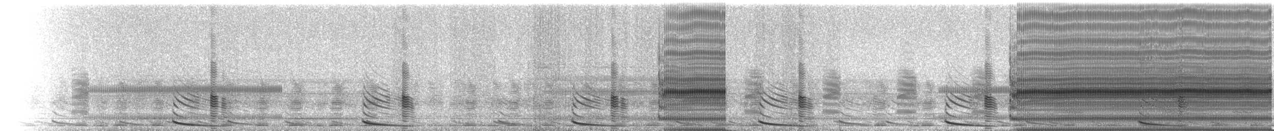 Two-spaded Narrow-mouthed Toad - ML223234