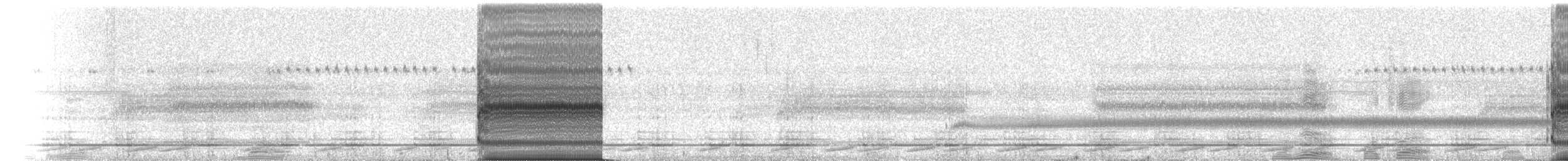 Two-spaded Narrow-mouthed Toad - ML223235