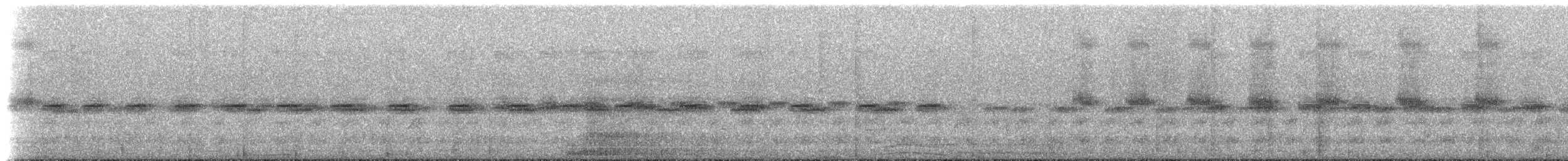 Сова-голконіг плямиста - ML223236