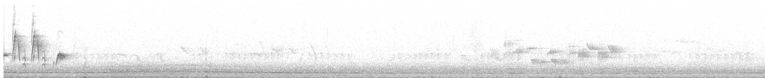 pěnice pokřovní (ssp. minula) - ML223260701