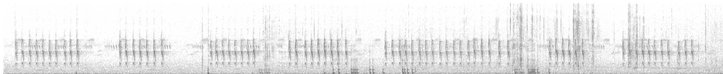 pěnice pokřovní (ssp. minula) - ML223260781