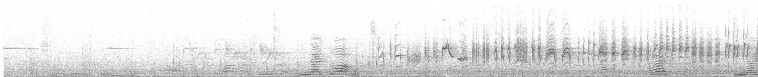 pěnice pokřovní (ssp. minula) - ML223260821