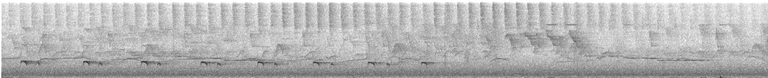 Толстоклювый мечник [группа promeropirhynchus] - ML223274631