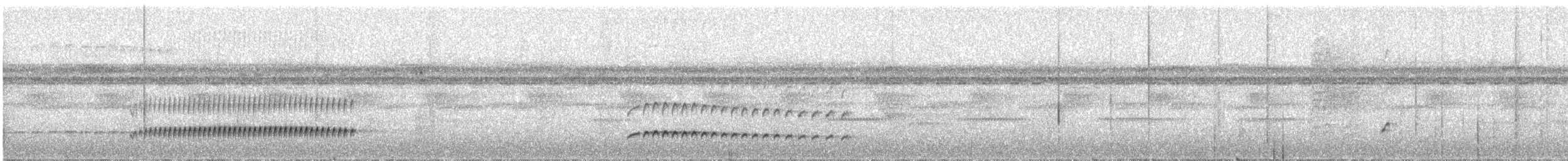 Batarito Coronipunteado - ML223334601