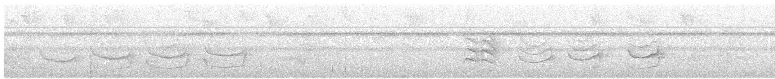 Band-tailed Antwren - ML22336171