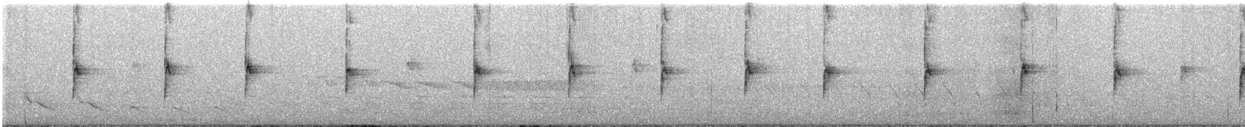 Chingolo Gorjiblanco - ML223386661