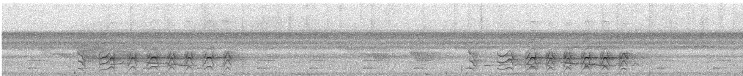 Дорожный канюк [группа magnirostris] - ML223409291