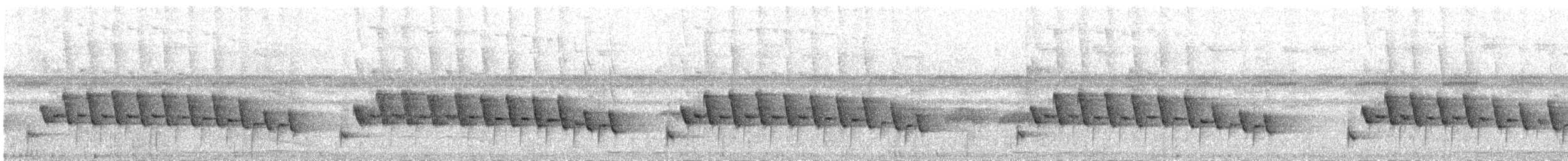 hvitbrystskogsmett (leucosticta gr.) - ML223424961