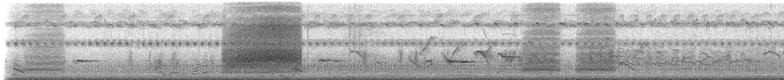 Tarabilla Terrestre - ML223455