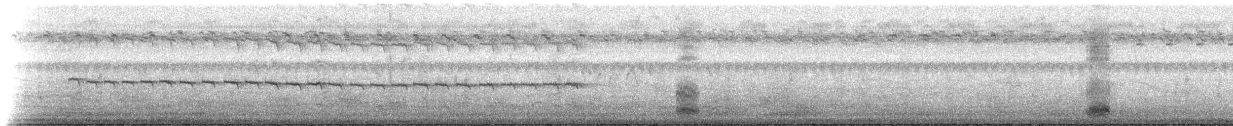 Одуд євразійський [група epops] - ML223461