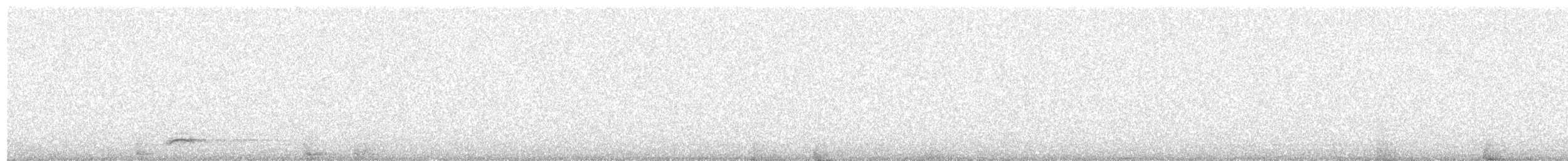 Black-crowned Night Heron - ML223469851