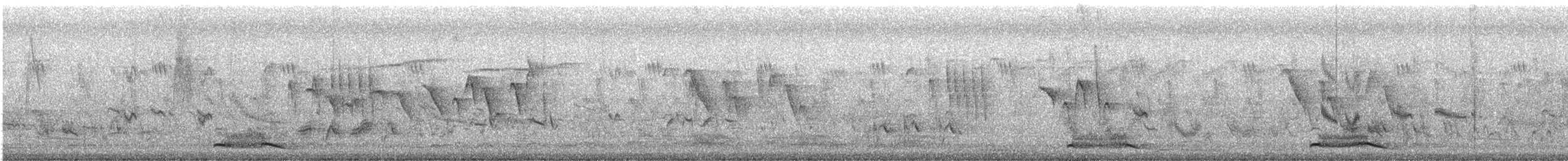 Asian Koel - ML223489