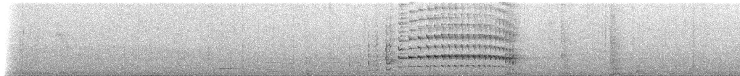 Hybride Pic du Bengale x P. de Lichtenstein - ML223490