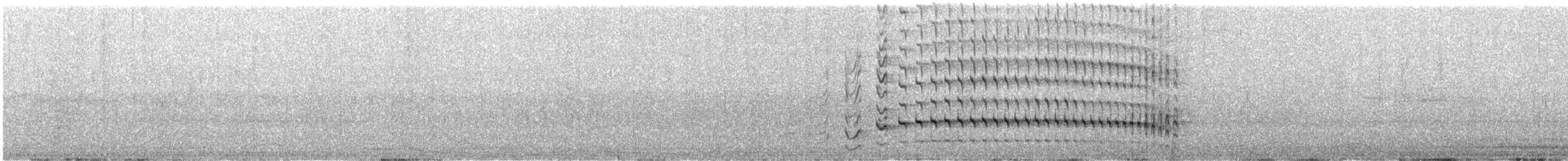 Black-rumped x Red-backed Flameback (hybrid) - ML223492