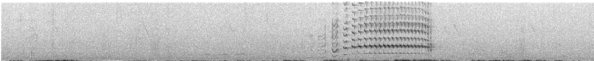 Black-rumped x Red-backed Flameback (hybrid) - ML223493