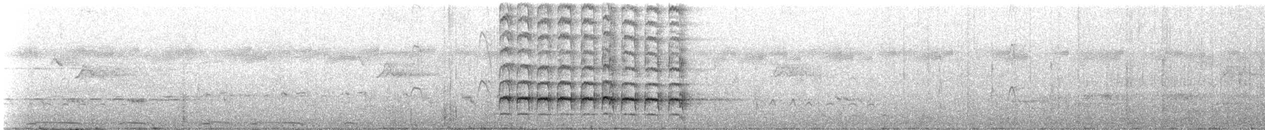 Bengalen- x Rotrückenspecht (Hybrid) - ML223494