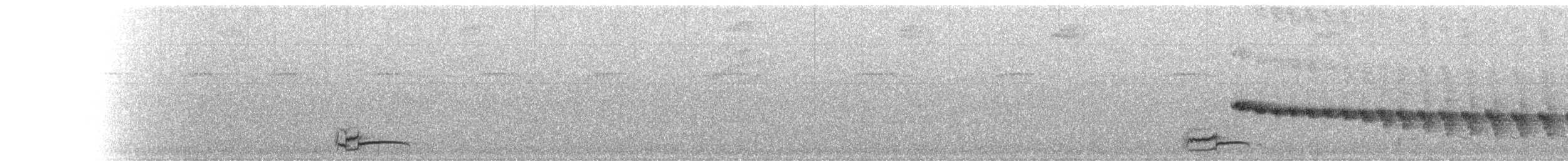 Black-crested Antshrike - ML223522901