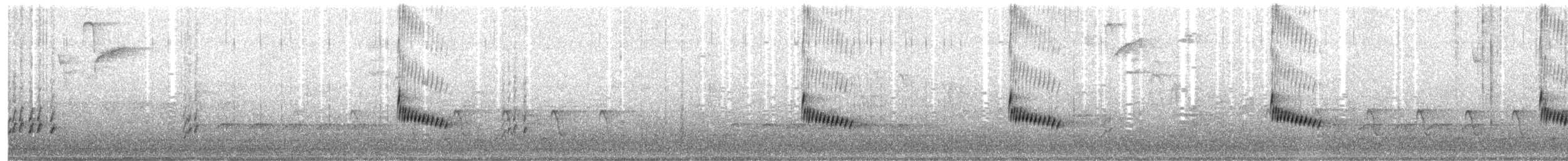 チャバラマユミソサザイ - ML223523791
