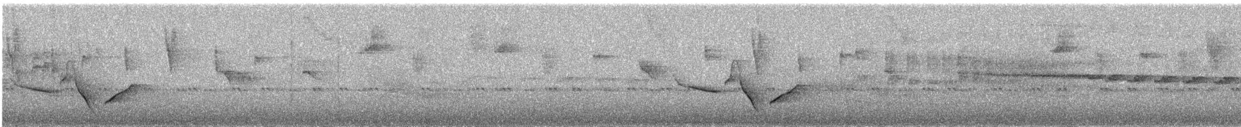 Speckle-breasted Wren (Marañon) - ML223526791