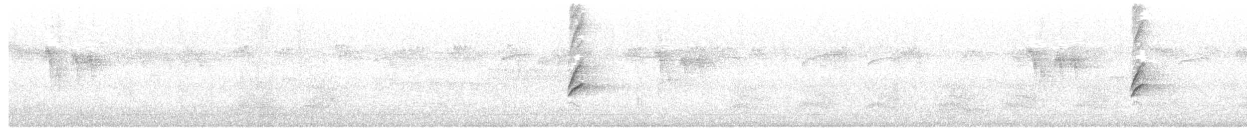 Hooded Oriole (nelsoni Group) - ML223576621