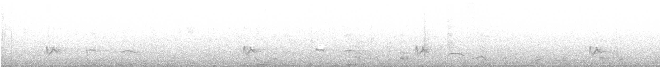 Élénie à cimier blanc (chilensis) - ML223599371