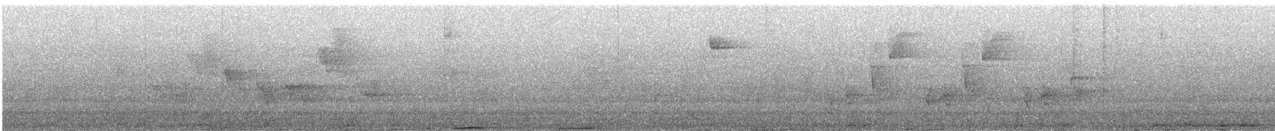 holub světlebřichý - ML223603211