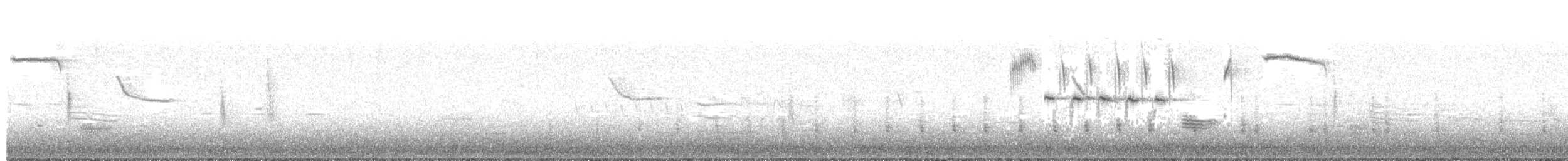 chřástal virginský (ssp. limicola/friedmanni) - ML223612301