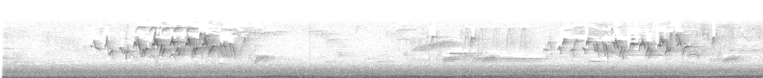 lesňáček žlutoskvrnný (ssp. coronata) - ML223612741