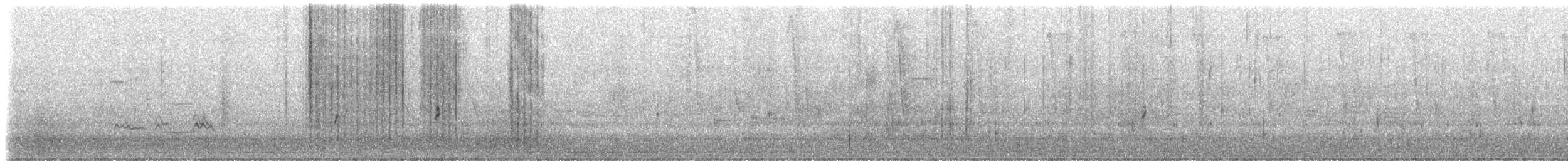 Amerika Çütresi (purpureus) - ML223661481