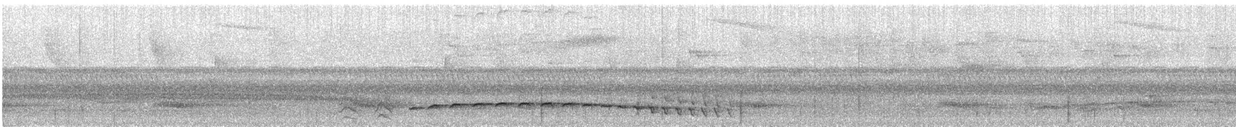 Fleckenbrust-Ameisenvogel - ML223764151