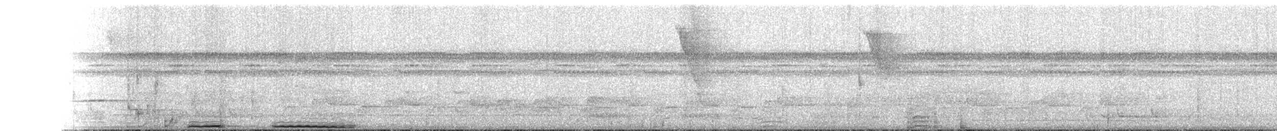 Борнейская воронья кукушка - ML223766931