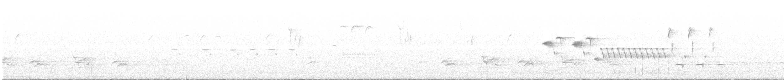 Ring-necked Pheasant - ML223769591