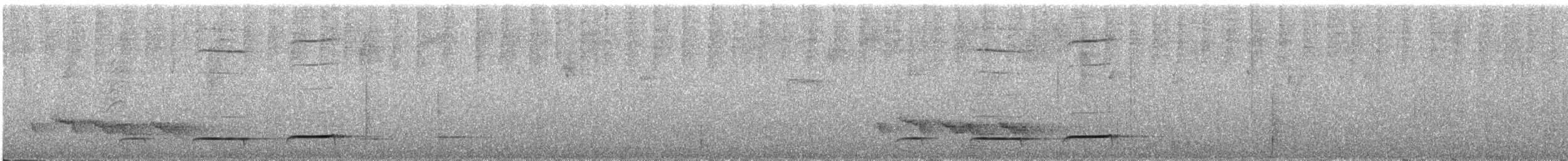 Grallaire de Przewalski - ML223774401