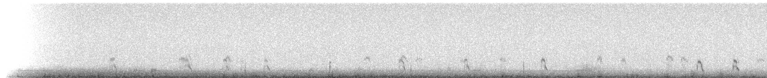 Mountain Plover - ML223801