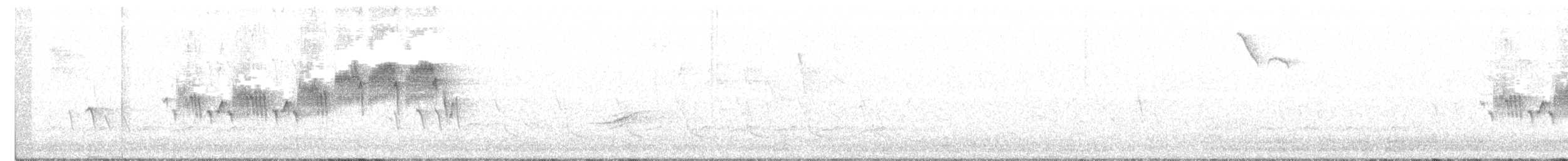 Очковая древесница - ML223801541
