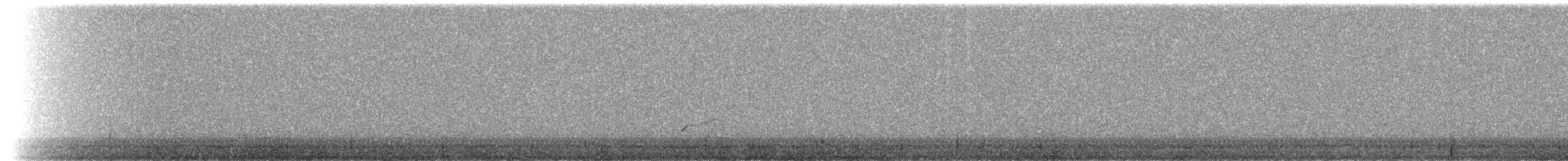 Mountain Plover - ML223807