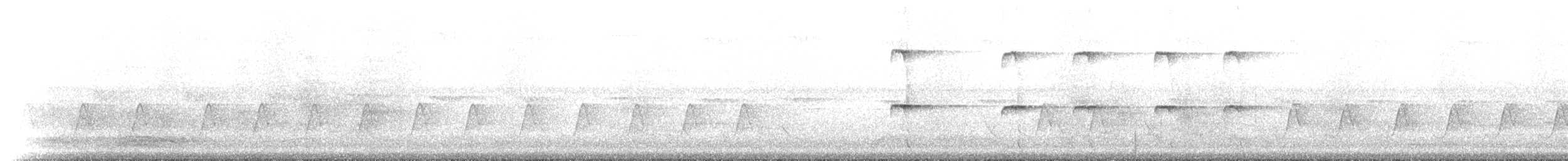 Three-striped Palm Squirrel - ML223822