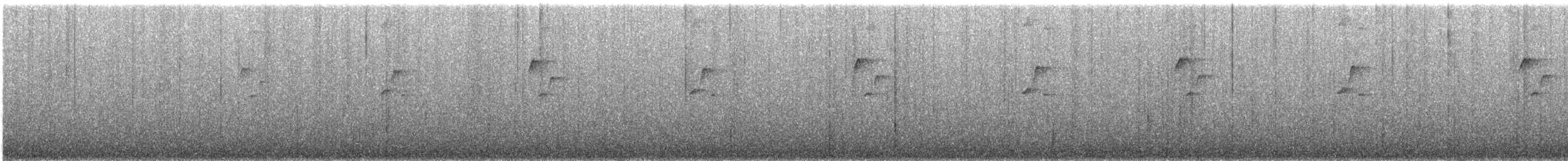 Пестрогрудый тираннчик - ML223851011