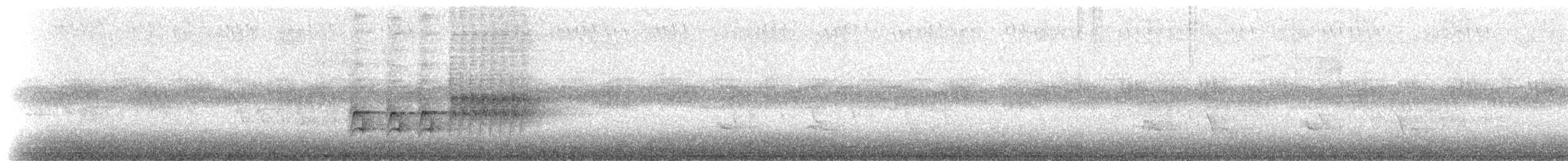 Тауї плямистий - ML223853