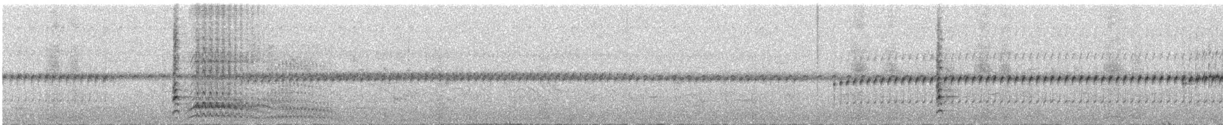 Жовна смугастобока (підвид fuscipennis) - ML223854491
