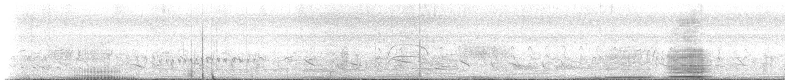 Domestic Cattle - ML223871