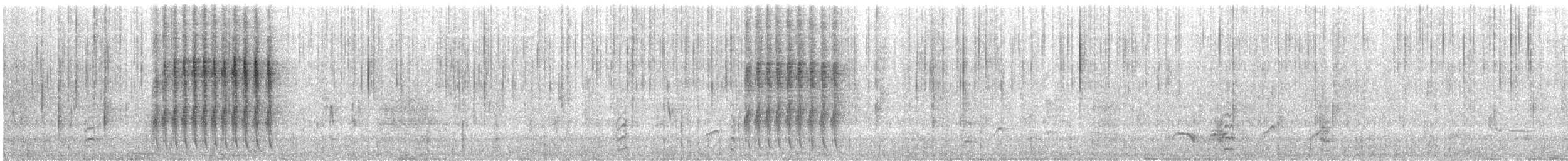 Rotschnabelsäbler - ML223875601