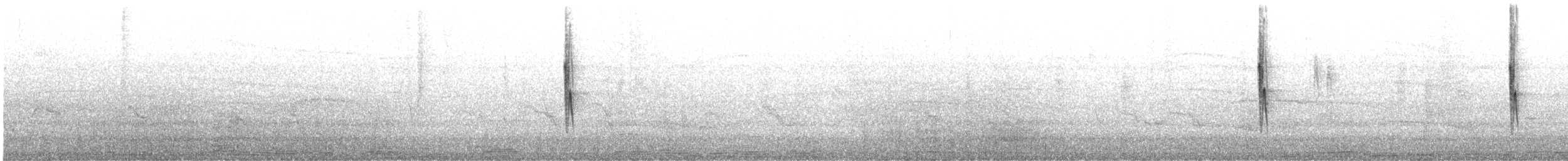 黃腹柳鶯(occisinensis) - ML223878121