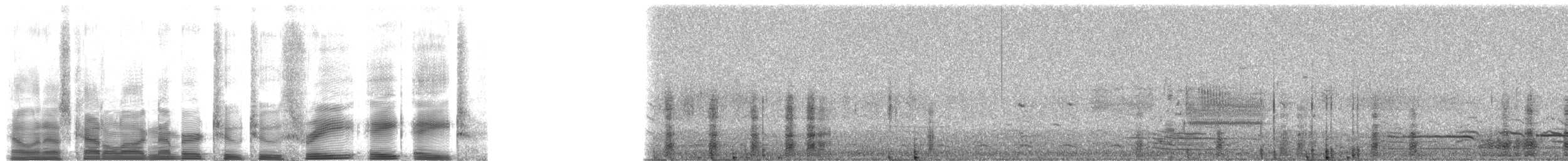 Glossy Ibis - ML22388