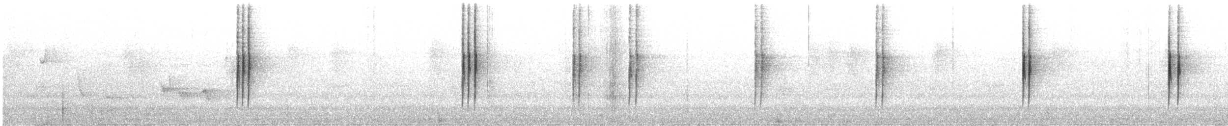 Olivscheitel-Stutzschwanz - ML223887541