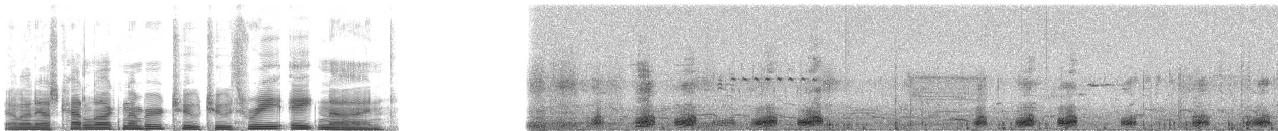 Black-crowned Night Heron (American) - ML22389