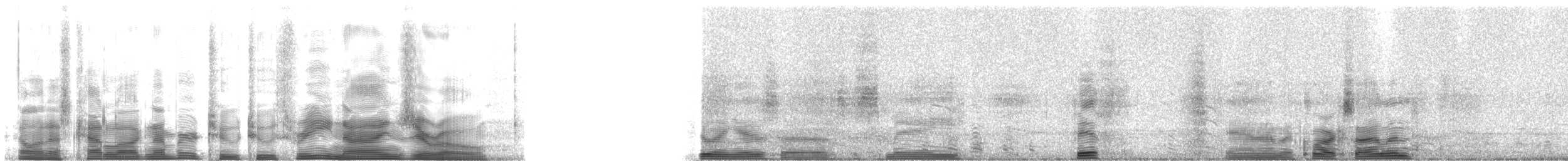 Snowy Egret - ML22390